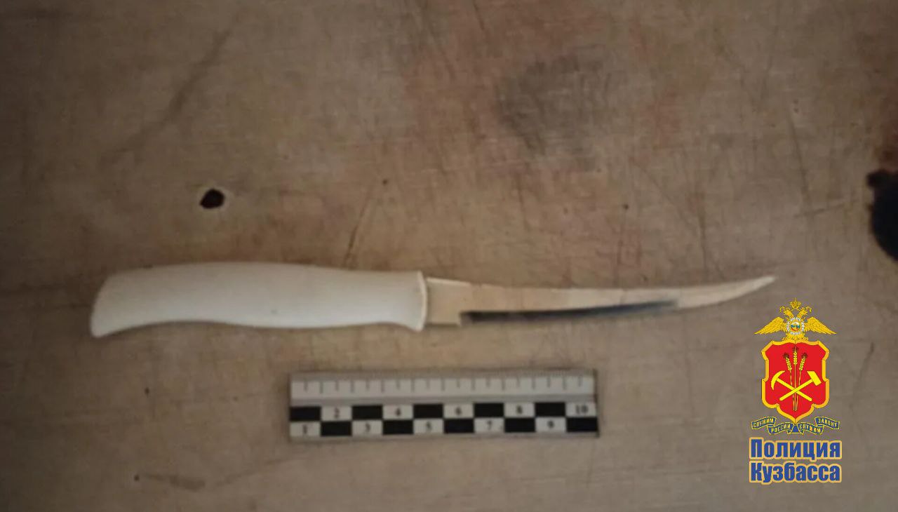 Кемеровские полицейские задержали находившуюся в федеральном розыске женщину, которая нанесла ножевые ранения знакомой