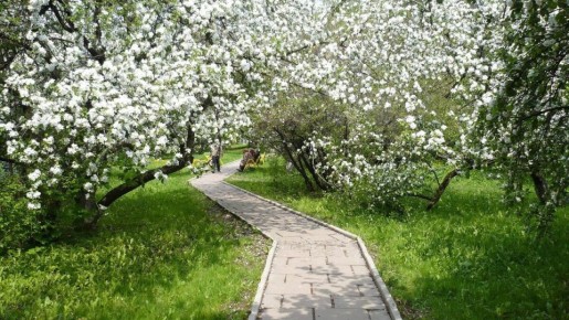 ��� ��������� ������������� ������ ��� ��������� ������ ������� ������