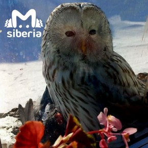 �������� � ������ ��������� � ����� � ������ �������������� ������