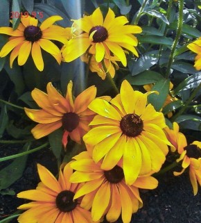 ��� ��������� �������� '������� ���' � ��������� ��������� ������ ����