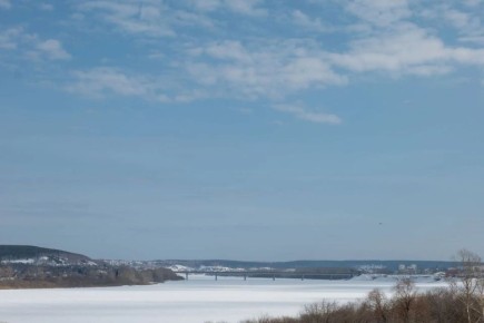 ������ "��������" | ������ - � ����������� MAX