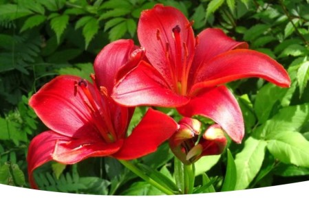 ����� � ���������: �������� ������� � ����� � ������� ����