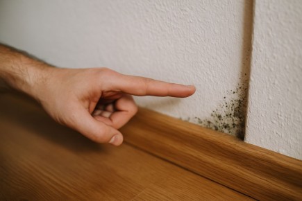 ������� �� ������, ����� ������� � ������ �����: ��� ������, ��� � ����� ���� �������� �������