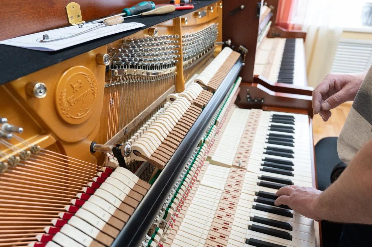 По нацпроекту «Семья» в ДШИ №15 поступили новые инструменты По нацпроекту «Семья» в ДШИ №15 поступили новые инструменты