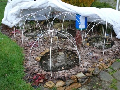 ��� �������� ����: �����, ���� � �������