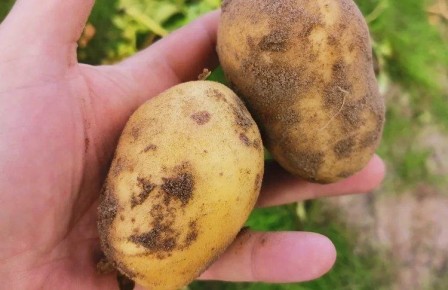 ����� ��������� ���������: �������� ������ ��� ������������ �����