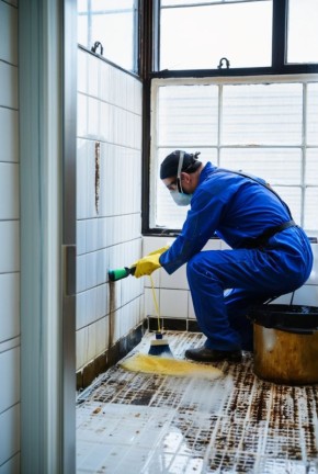 Эффективные способы борьбы с плесенью: от народных средств до профессиональных методов