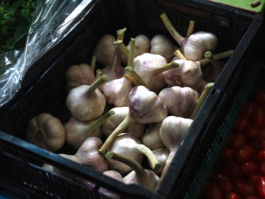 Как правильно хранить лук и чеснок: секреты от опытных садоводов