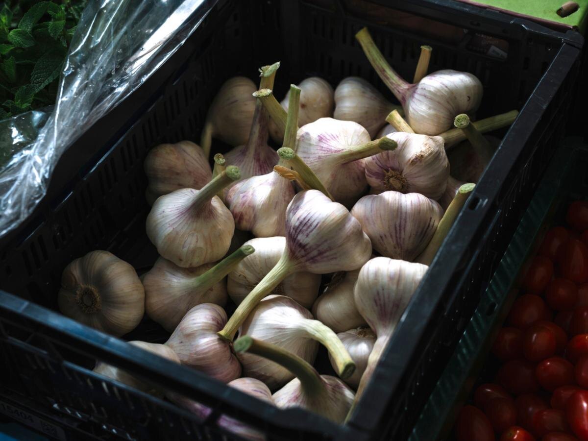 Как правильно хранить лук и чеснок: секреты от опытных садоводов