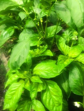 ������� � �����: ������� �������� ������ � ������ ���������