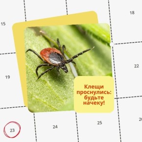 �� ������ ���������������� ���������� ������ ���������� � ������� ������ �����, � ��� ������, ��� ���� �������������