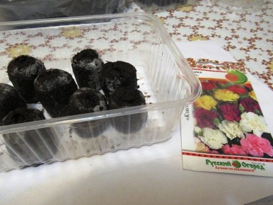 �������� ����: ������ �� ������ ����� � �������� ��������