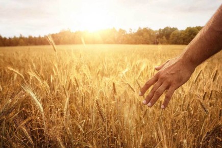 ������� ��������������: ��� ���������� �������� ���������������