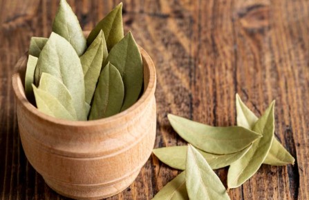 �������� ����: ����� ��������� �������������