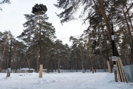 � ��������� ���� �������� ������ ���������� ������, �������������� ���������� �����