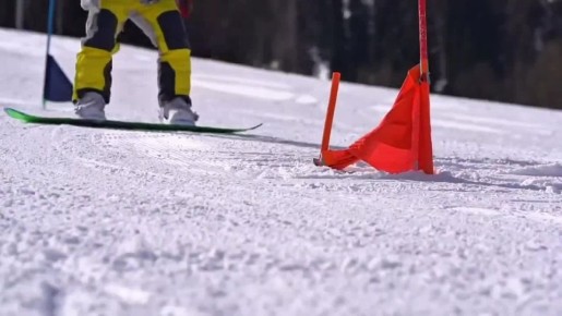 � ������������� ������ ������������ �� ������������ ������� � ��������� ����� ���������� ������� ����������� �������� � ������ �� �����