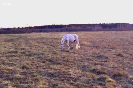 ��� �������� ��������� � �����������: �������� ������