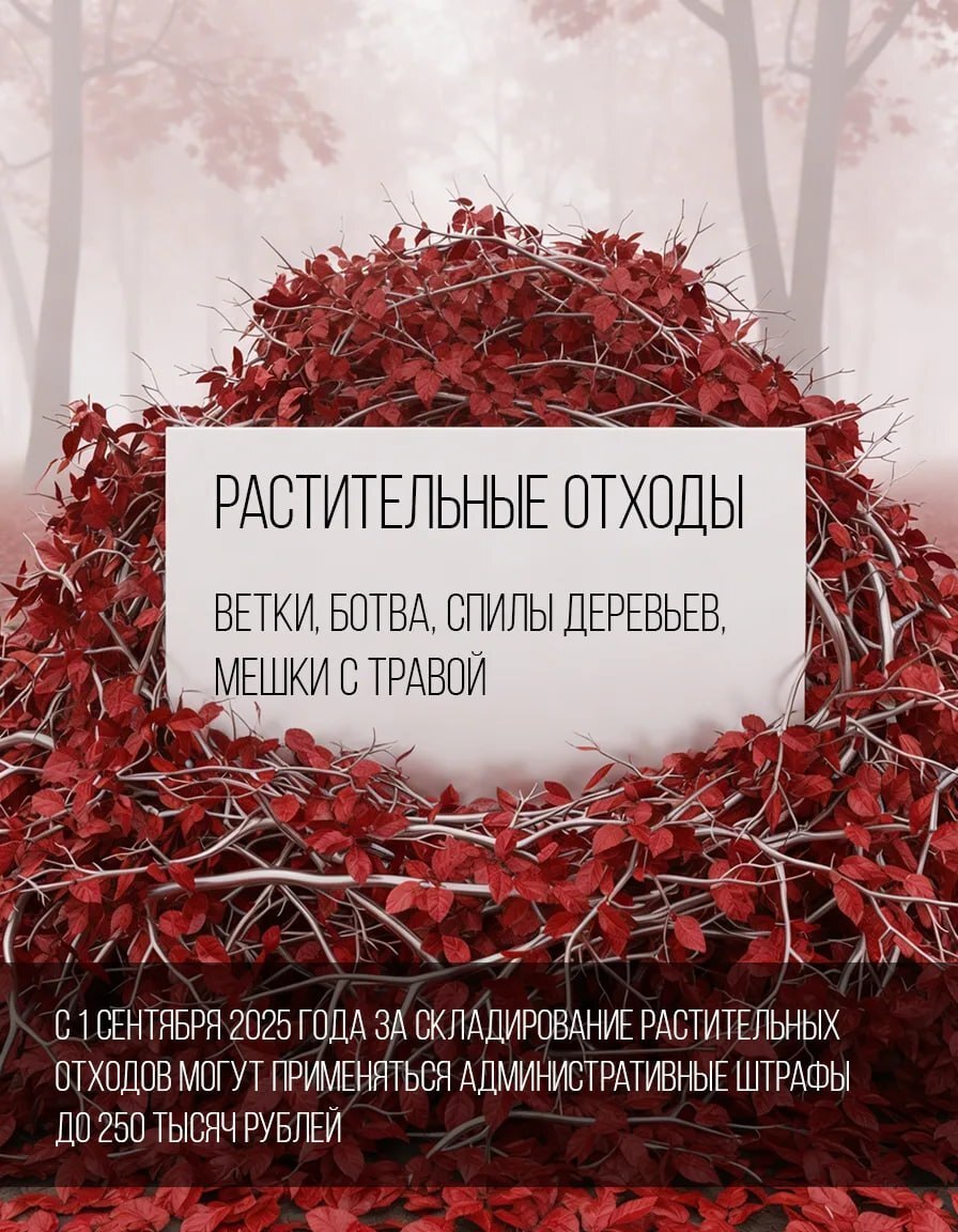 Что относится к твердым коммунальным отходам, а что нет? Что относится к твердым коммунальным отходам, а что нет?