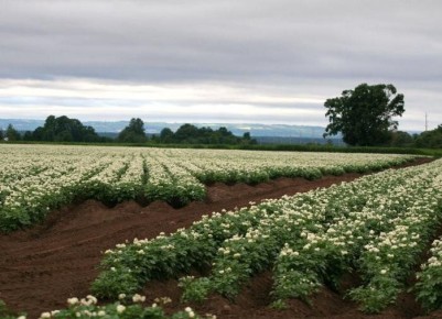 ��� ��������� �� ����������: ������� �������� ������ � �����������