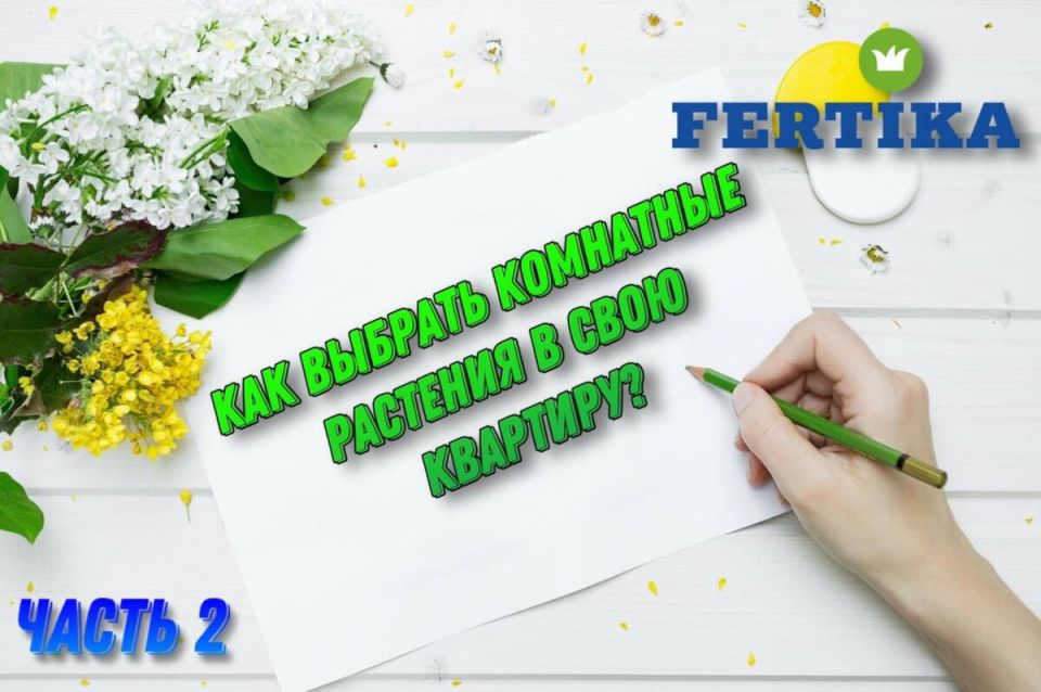 ��� ������� ��������� ��������� �������� ��� ������ ����
