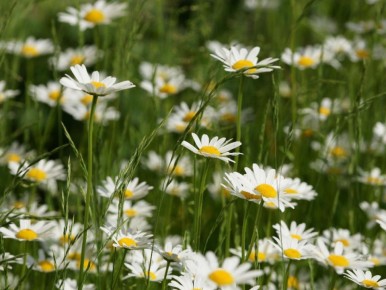 �������: ��� ��� �������� �������� ����� ������� ��� ��� � �������� ��������