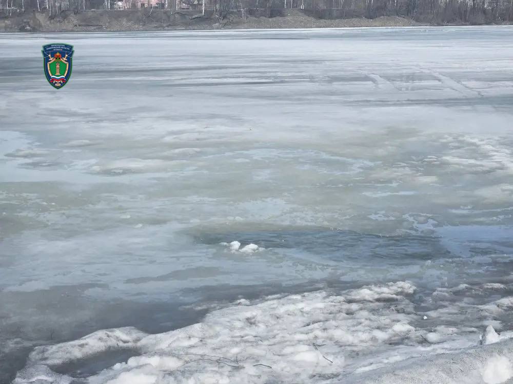 Прокуратура г. Междуреченска организовала проверку по факту происшествия с несовершеннолетней Прокуратура г. Междуреченска организовала проверку по факту происшествия с несовершеннолетней