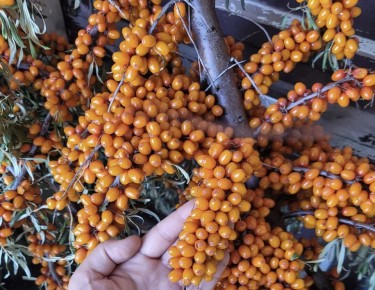 ��������: �������� ��� ������ ������?