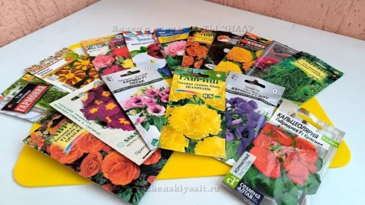 ��� ������� � ������: ����� ��� ������� �������� � ���� � ����