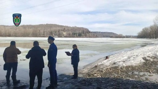 ����������� �. ������������� ������������ �������� �� ����� ������������ � ������������������