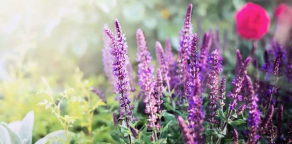 ��������������� ������ ��� ����� ���: ��� �������� ������� � �������� �������� ��������