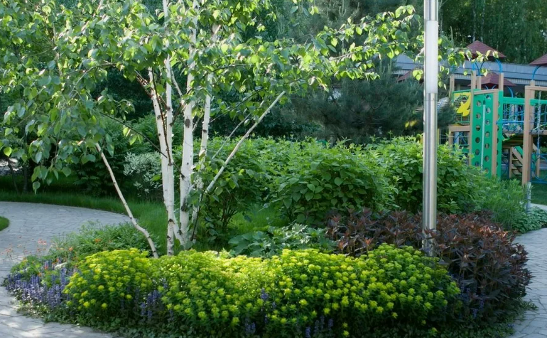 Сначала вы их сажаете на участке, а потом жалуйтесь!