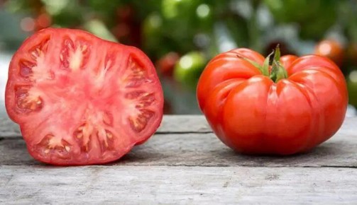 ������ ����� ���-������� ��� ������ ����