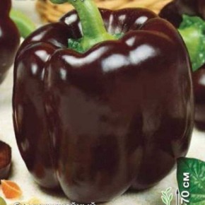 ������� ����� � ���������� ��������: ����� ������ ������� ����������