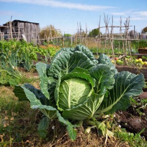 ������ �������: 7 ������, ������� ������� �� �����