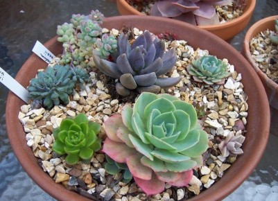 ����������: ������� ��������� ����������� ��� ����������� ����������