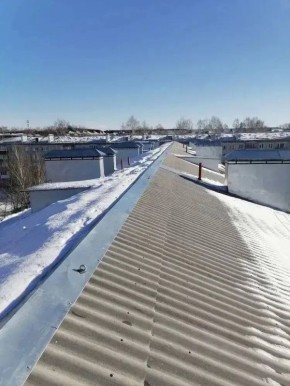 ���� �������: ���������� ������������� 928 ��������������� ����� �������� � ���� ����