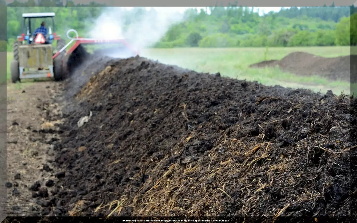 Органические удобрения: опасности, о которых стоит знать каждому садоводу