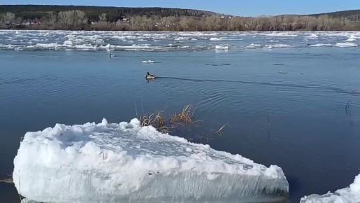 ������� ��������: ������� �� ����!