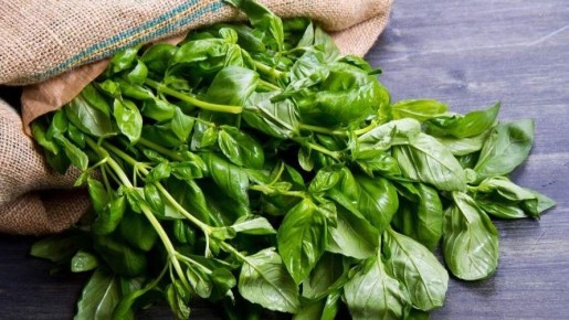 ������� ��� ������������ �������: ��� ����� ����� � ������ � ������