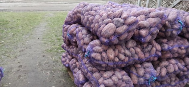 Секреты хранения картофеля: как сохранить урожай до весны