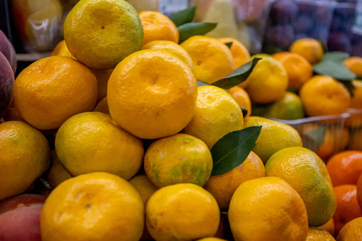 В Москве стартует акция «Подвешенный мандарин» на ярмарках