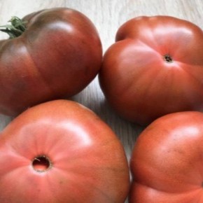 ����� ������� ���������: �������� ����� �������� ��� �������