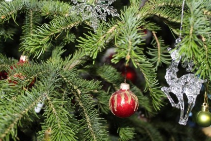 ����� ������������ ��������, ��� ������������ ���� ����� ����������