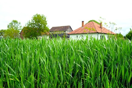 ��������: ������� ��������� �������