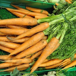 Зола в огороде: может ли она стать секретом для успешного роста моркови?