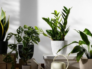 ������ ������ � ��������� ���������