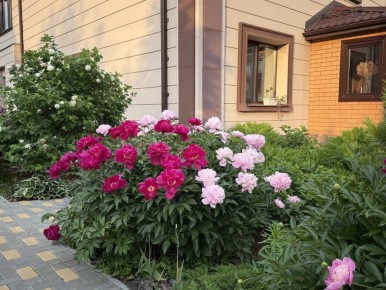 ���������� ������� ������: ��� ���������� ��� ��� � �������� ������