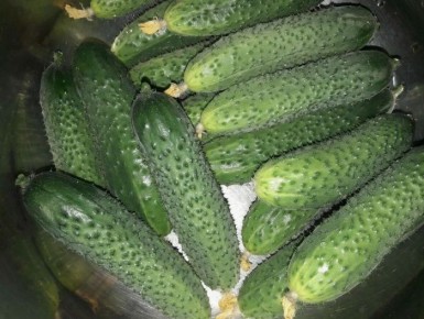 ������ ������: ��������� ����� ��� ������ �������