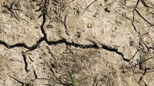 �������� � ��������� ������: ��� ������ �� �������