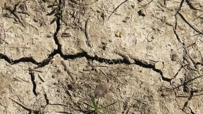 Проблемы с глинистой почвой: Как решить за копейки